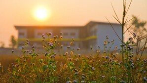 Property grounds - Ruanboonma Resort (Kabin Buri)