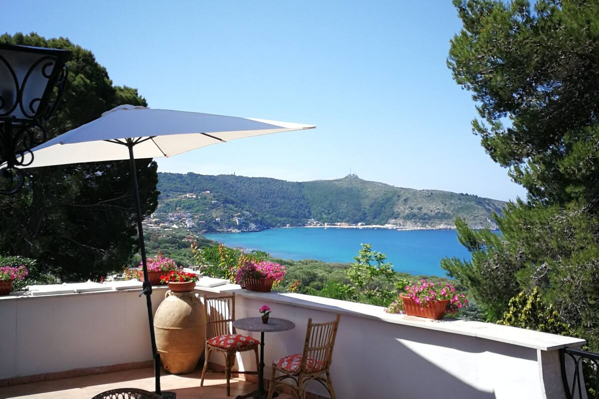 Une terrasse avec une table, des chaises et un grand parasol.