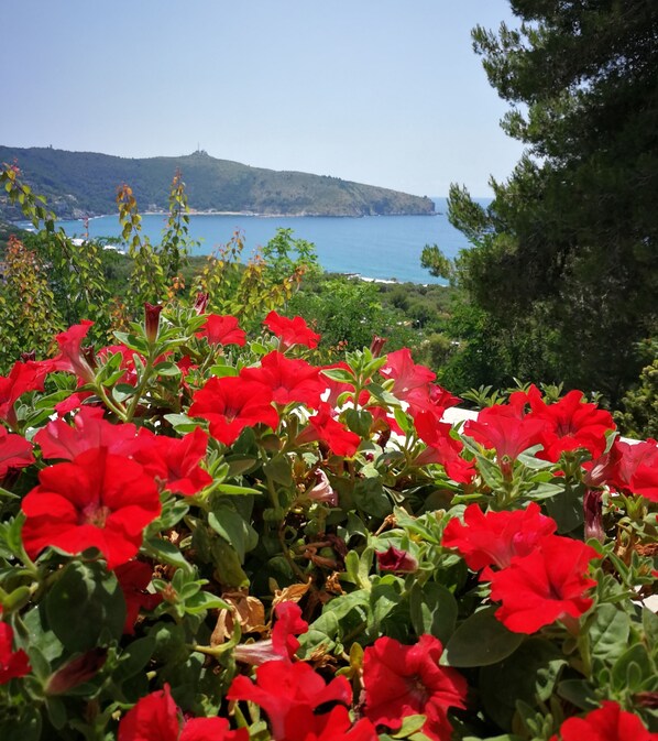 View from property - Il Sogno di Vincenzo e Maria (Centola)