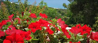 Il Sogno di Vincenzo e Maria