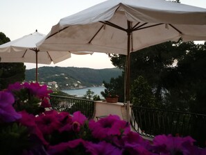 View from property - Il Sogno di Vincenzo e Maria (Centola)