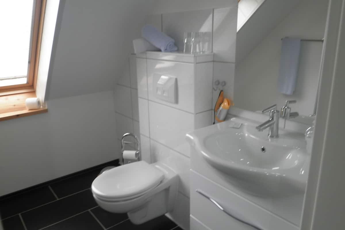 shower, free toiletries, hair dryer, towels