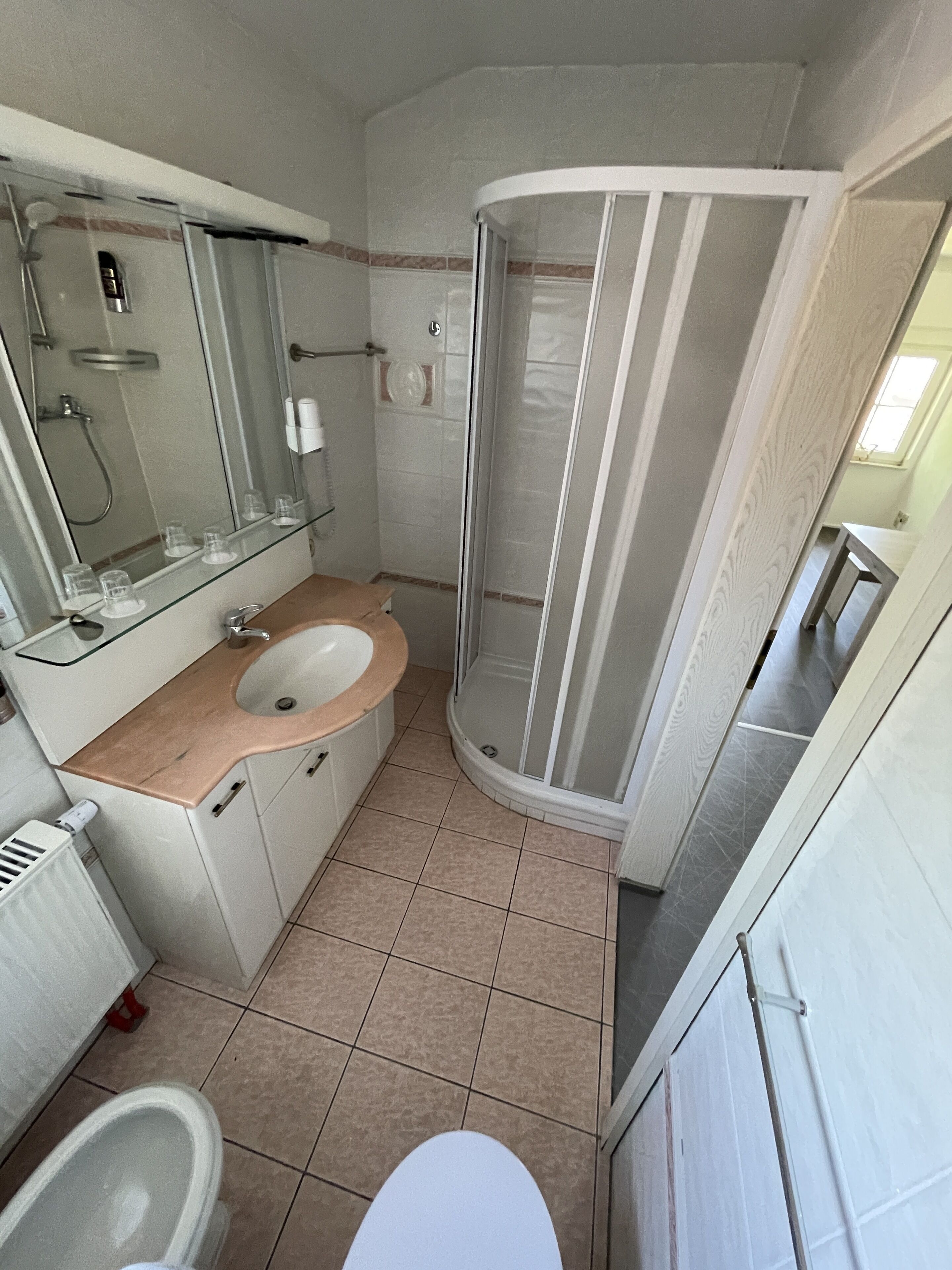 A bathroom with a sink, mirror, shower, and toilet.
