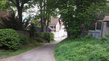 A narrow, paved road flanked by lush greenery and trees, leading to traditional houses with sloped roofs.