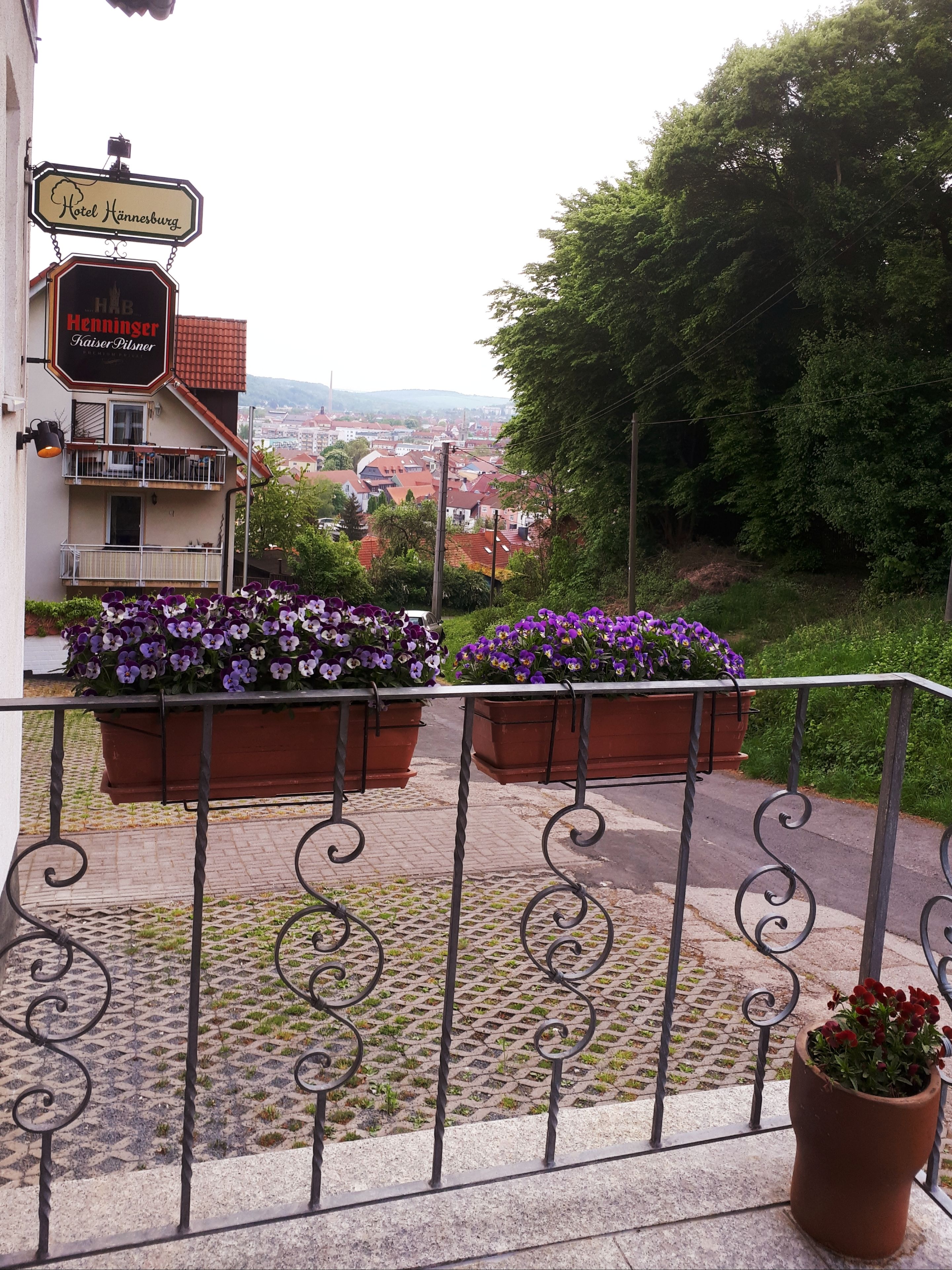 Une enseigne d’hôtel, un balcon orné de jardinières et une vue sur la ville.