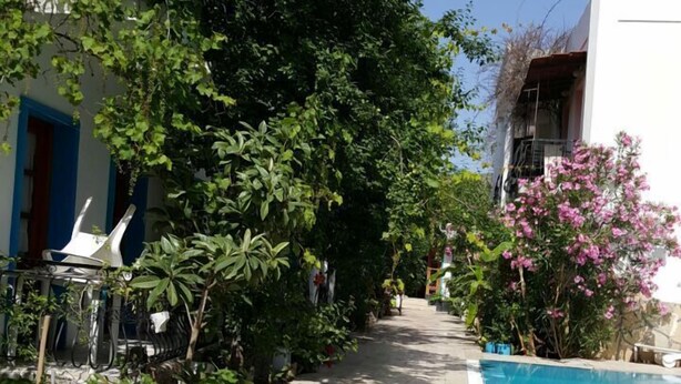 Un sendero estrecho bordeado por plantas en macetas y una piscina.