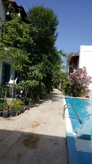 A narrow pathway flanked by potted plants and a swimming pool. - Nursu Apartments (Bodrum)