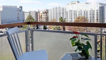 Vista del balcón