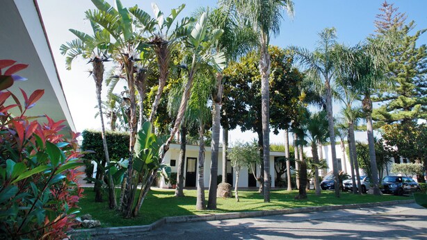 Un patio con palmeras, un edificio con varias puertas y coches estacionados.