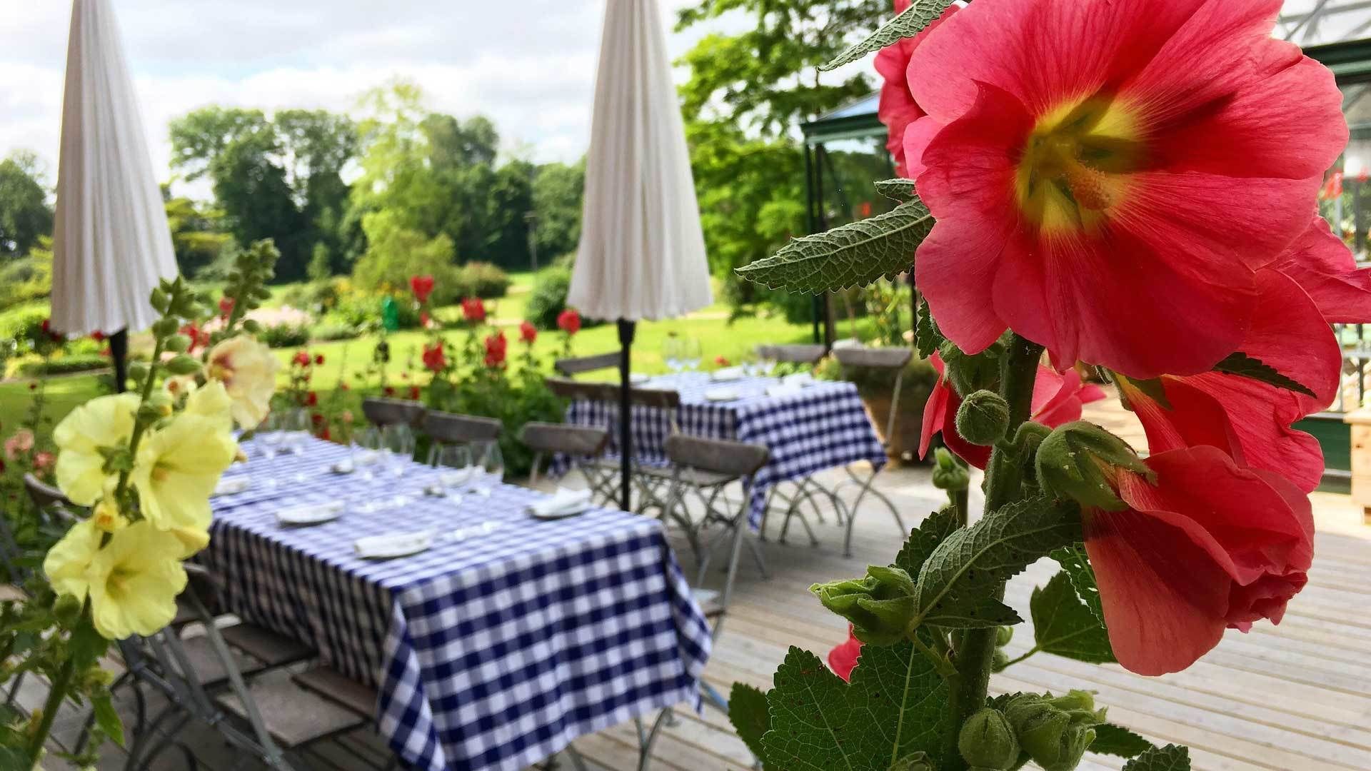 تناول الطعام بالخارج