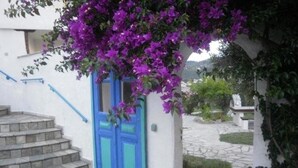 Un escalier menant à un bâtiment aux portes bleues, entouré de fleurs violettes et de verdure.