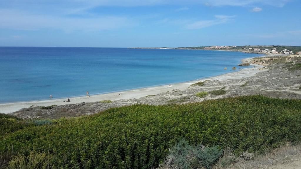 A coastal landscape with a beach, vegetation, and distant buildings.