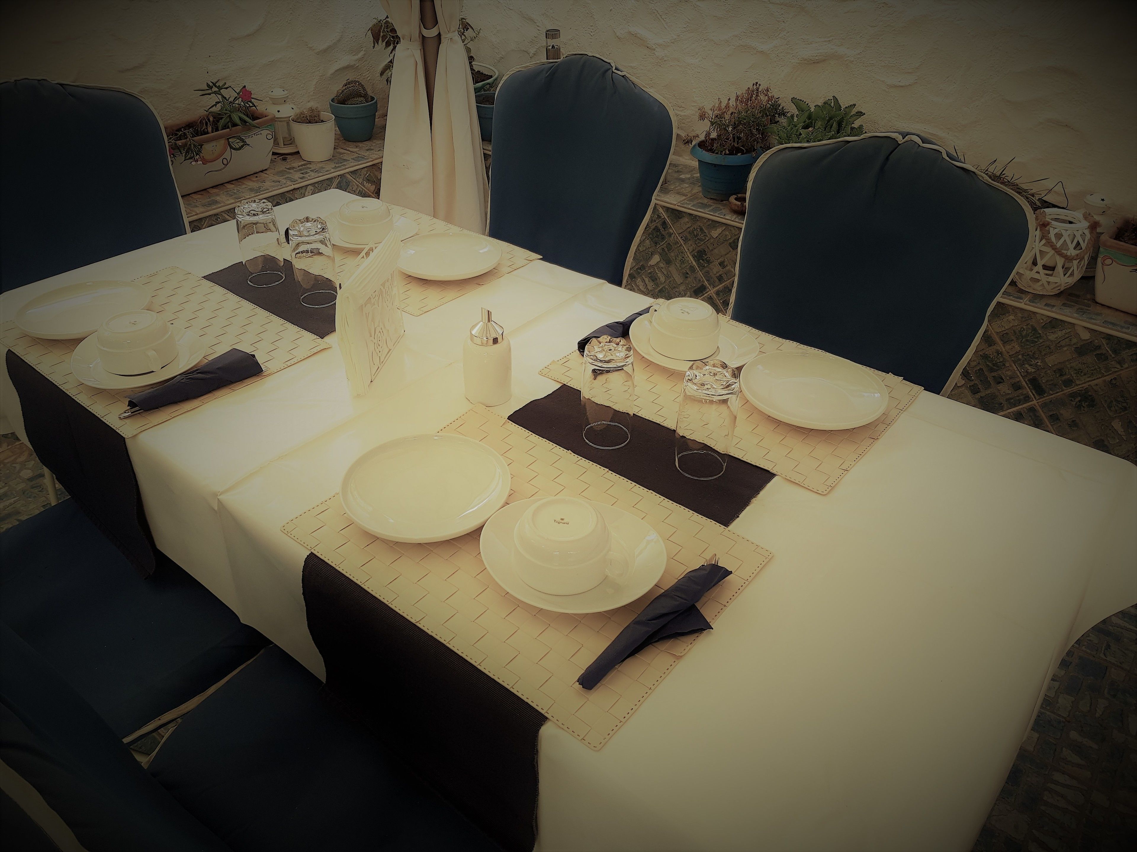 Mesa lista para una comida, con platos, cubiertos y una vela, rodeada de sillas y plantas en macetas.