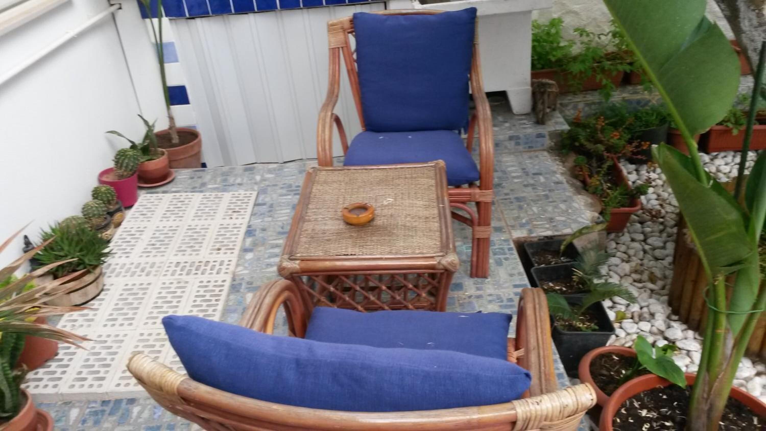 Een klein terras met rieten meubels en blauwe kussens, omgeven door potplanten en een betegelde vloer.