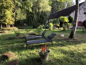 Exterior - Domaine de l'Ocrerie (Pourrain)