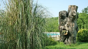 庭園
