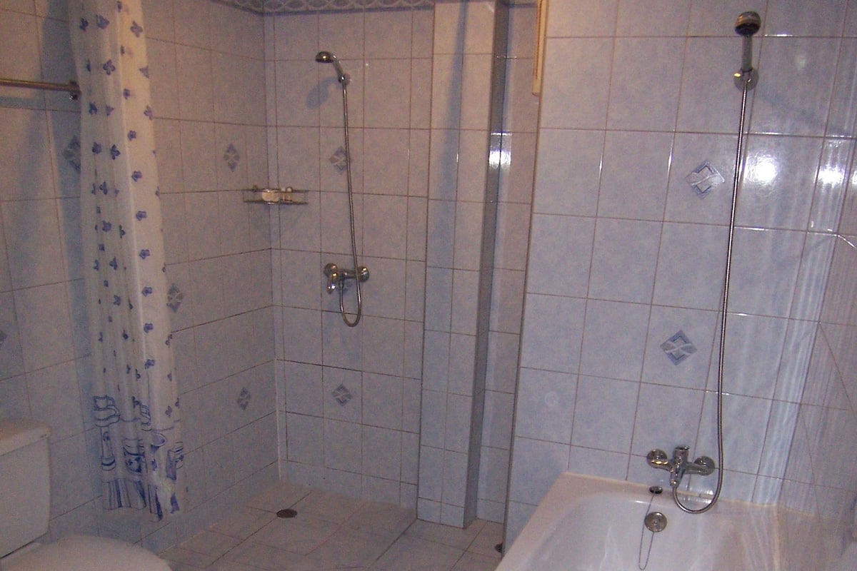 Deluxe Double Room | Bathroom | Separate bathtub and shower, free toiletries, hair dryer, towels