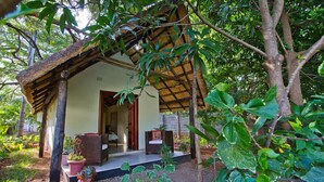 Uma cabana rústica com telhado de palha, rodeada por vegetação exuberante e plantas em vasos.