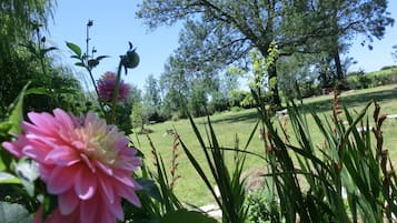 Un jardin où l’on trouve une variété de plantes et de fleurs, notamment des dahlias roses et des fleurs rouges, avec une pelouse verdoyante et des arbres en arrière-plan.