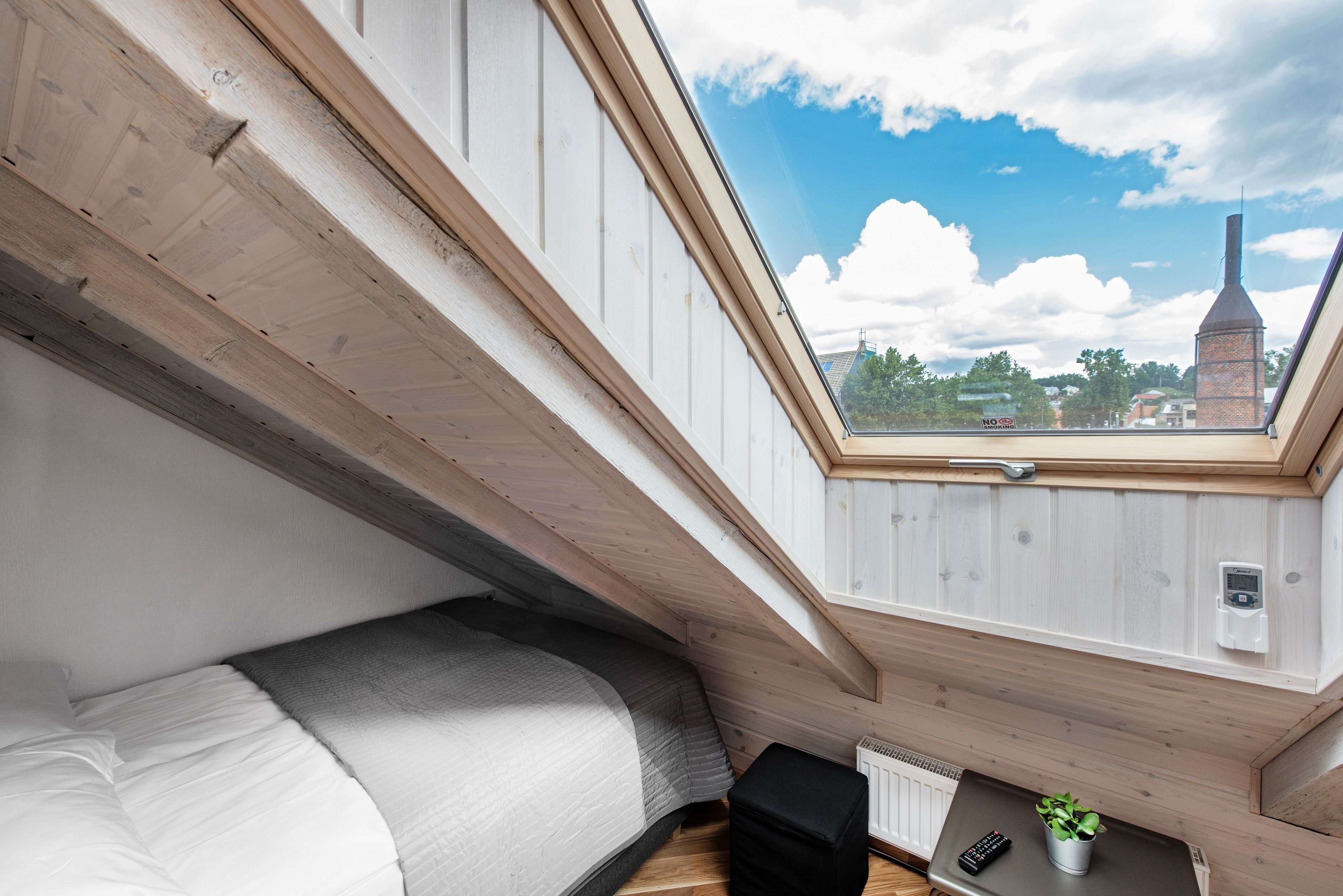 A bedroom with a skylight, a bed, a small table with a plant, and a radiator.