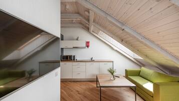 Family Studio Suite, 1 Queen Bed with Sofa bed, River View | Desk, laptop workspace, soundproofing, iron/ironing board