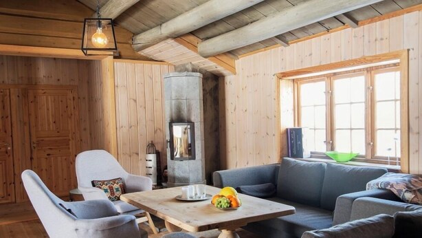A cozy room with wooden walls, a stone fireplace, a sofa, and a table with fruit.
