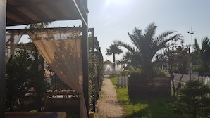 A pathway leading to a white fence, with a pergola structure on the left and palm trees on the right.