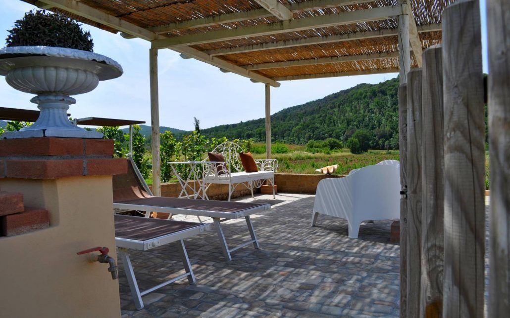 テラス / パティオ