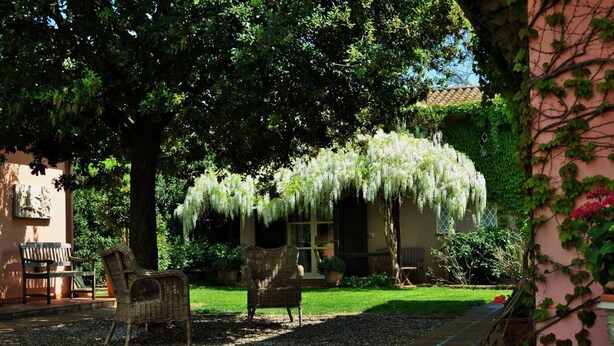 A garden with wicker furniture, a pergola with hanging vines, and a building with a tiled roof.