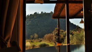 A room with a large window overlooking a forested hillside.
