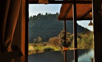 公寓, 2 间卧室 | 客房景观