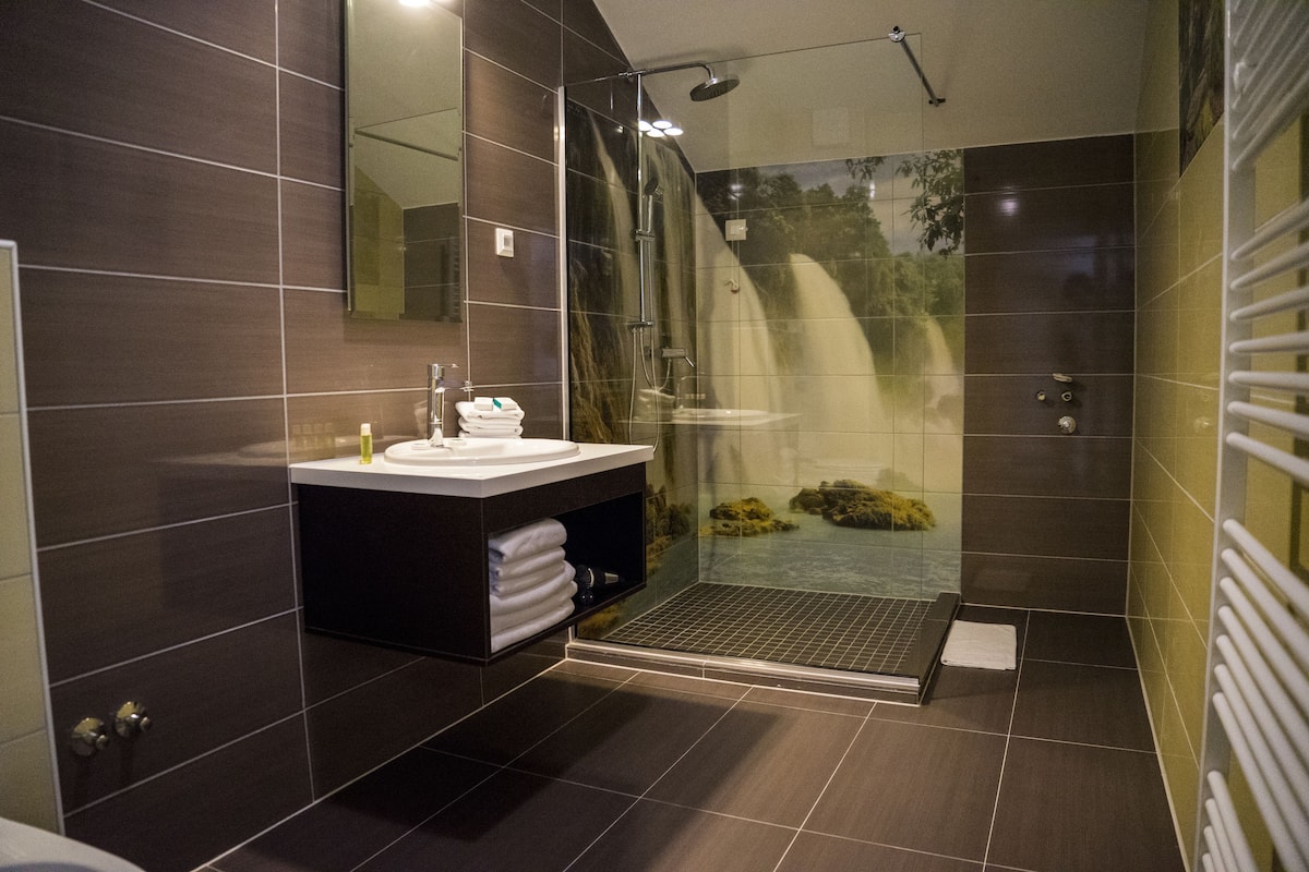 shower, free toiletries, hair dryer, slippers