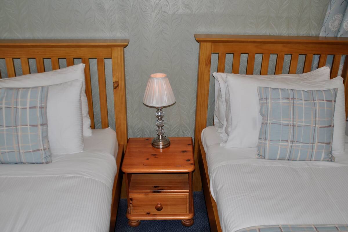 Twin Room | Iron/ironing board (on request), WiFi (free), bed sheets