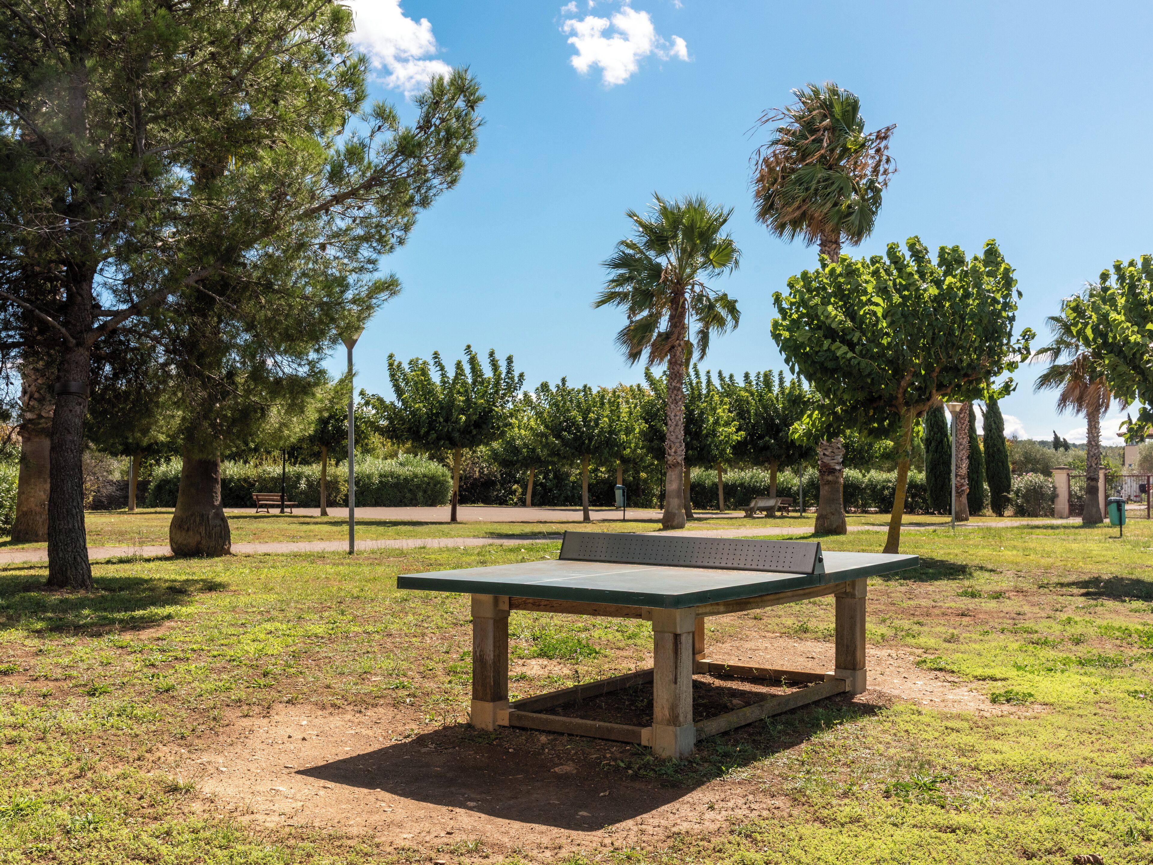 A park with a wooden bench, trees, and a clear sky.