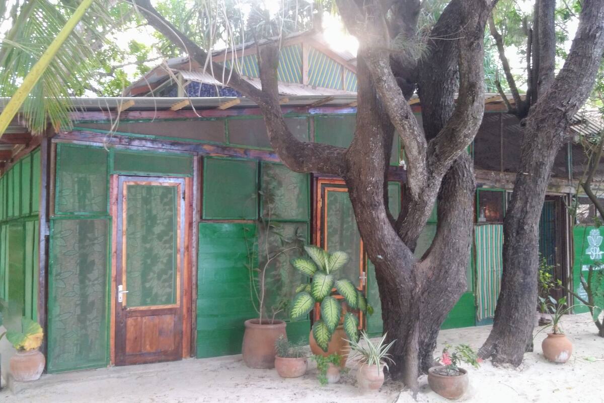 Une petite construction à toit végétalisé, dotée d’une porte en bois, et entourée de plantes en pot et d’arbres.