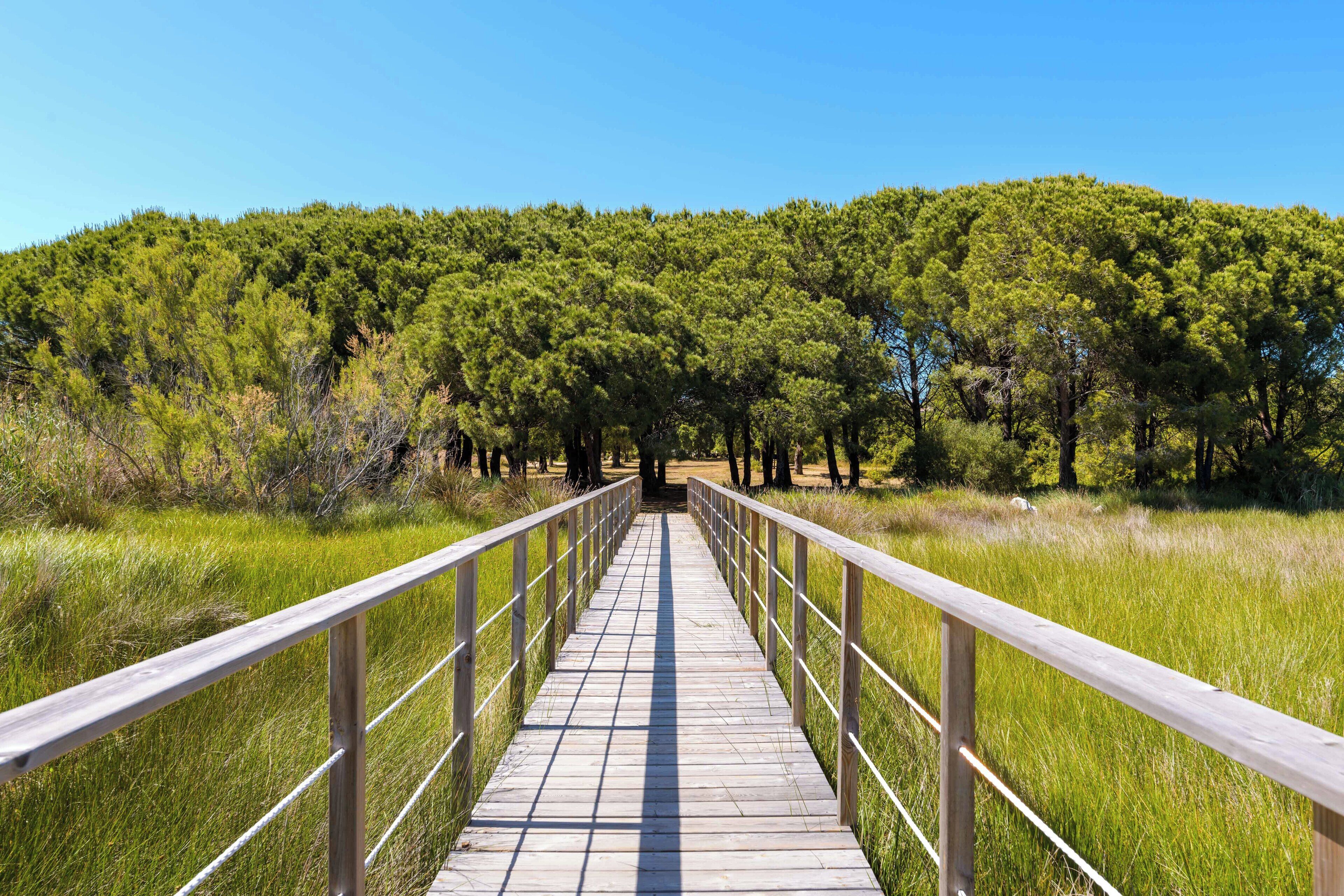 Foto - Hotel U Paesolu