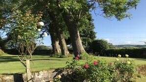 A garden with a variety of flowering plants and a large tree. - South Craighall Bed & Breakfast (Glasgow)