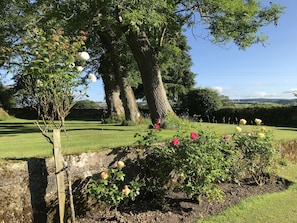 Garden - South Craighall Bed & Breakfast (Glasgow)