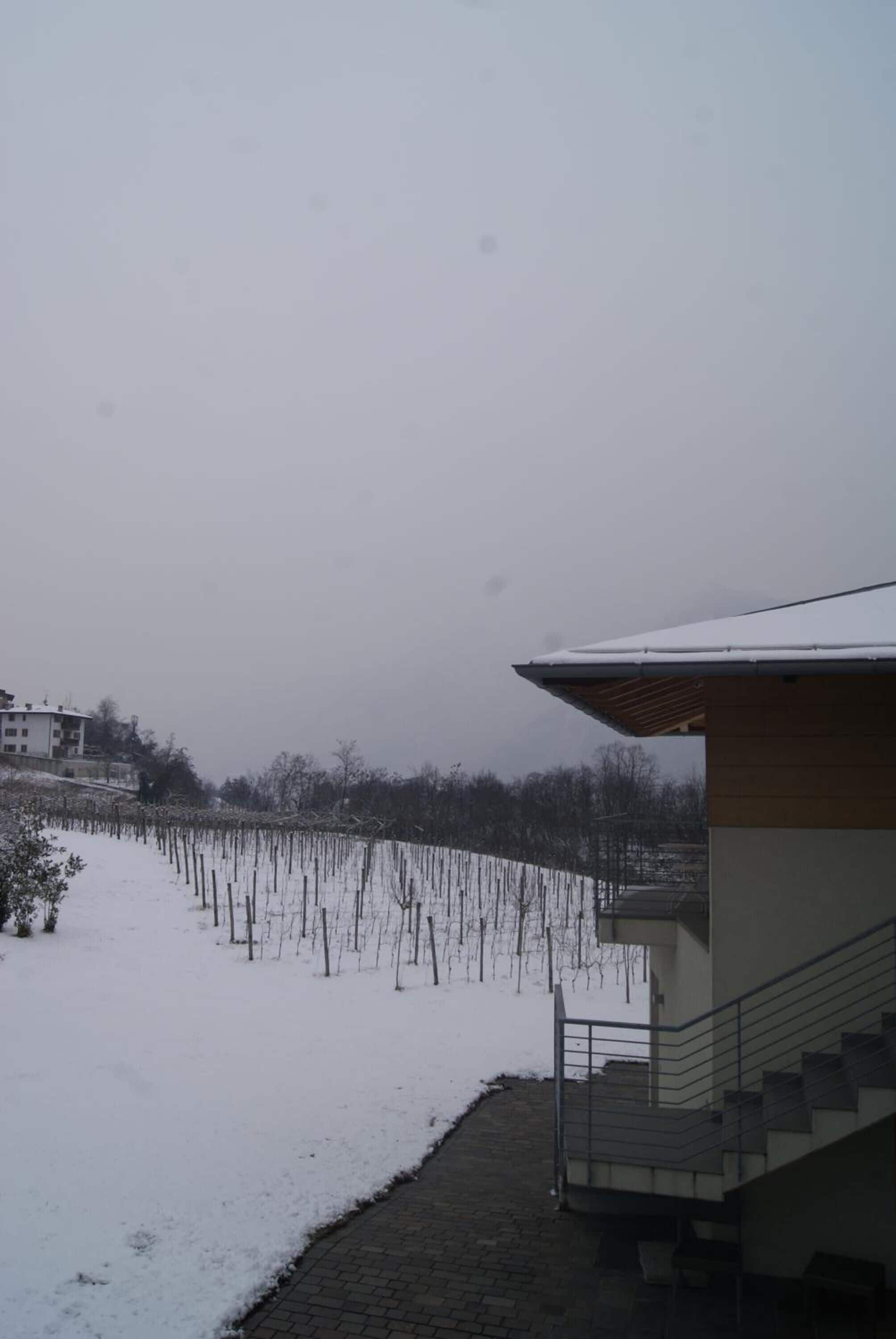 Foto - Agritur Ponte Alto