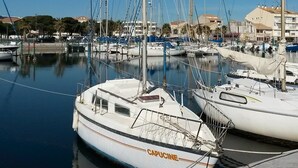 Una marina con varios veleros amarrados.