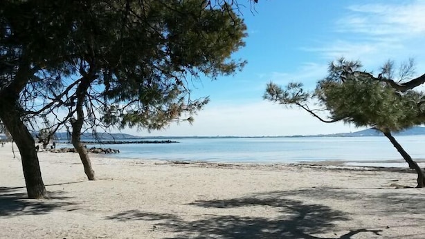Una playa arenosa con árboles y un mar tranquilo al fondo.