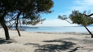Tuala pantai