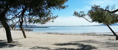 Tovalloles de platja