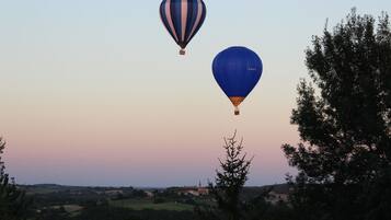 Two hot air balloons flying over a landscape with trees and a distant building.