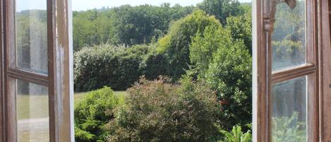 Una ventana abierta con vistas a un paisaje verde exuberante y árboles.
