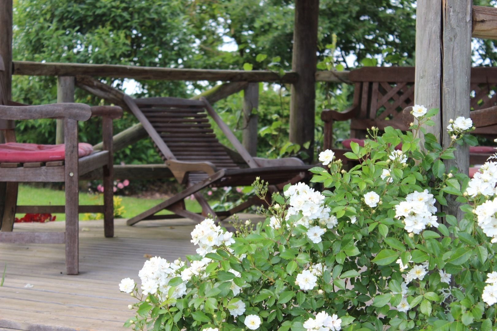 Una terraza de madera con un banco y un pérgola de madera.