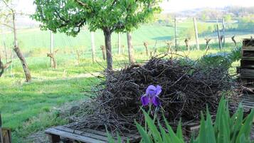 Un entorno rústico al aire libre con un banco de madera, un árbol y un nido hecho de ramitas.