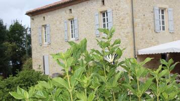 A stone building with shutters, a butterfly on foliage, and a clear sky.