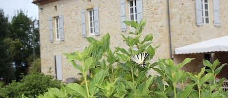 Un edificio de piedra con persianas, una mariposa sobre el follaje y un cielo despejado.