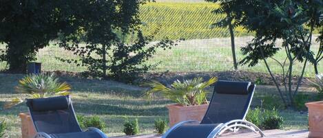 A poolside area with two lounge chairs and potted plants.